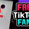 The Risks of TikTok Follower Kaufen: Is It Safe or Will You Get Banned?