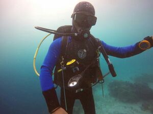 How to Find a Good Wetsuit \u00a0