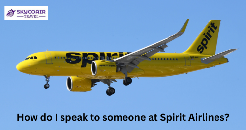 How do I contact Spirit Airlines by phone?