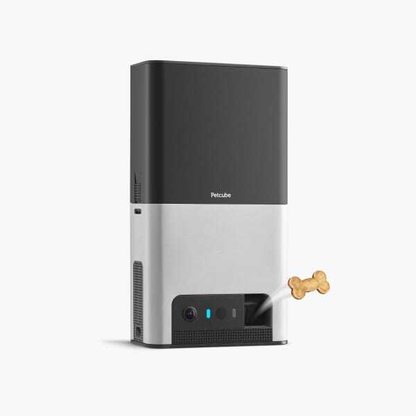 Petcube Bites 2: The Perfect Pet Camera for Modern Homes