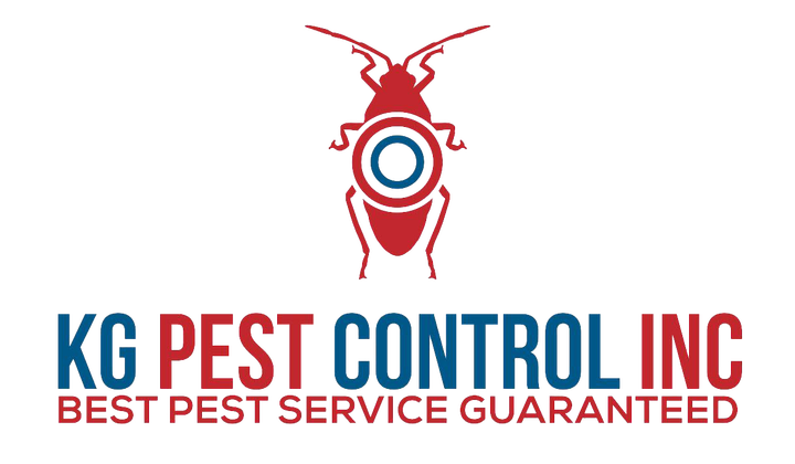 Do You Have Bedbugs in Your Home?
