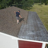 The Power of Roof Rejuvenation: A Cost-Effective Solution for Homeowners