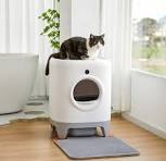 PetKit Pura X Self Cleaning Litter Box \u2013 Everything You Should Know