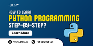 How to Learn Python Programming Step by Step?