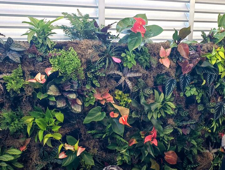 Outdoor Beauty and Functionality with Exotic Creations: Landscape Designer in Marco Island, FL