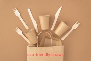  Embracing Sustainability in the Food Service Industry