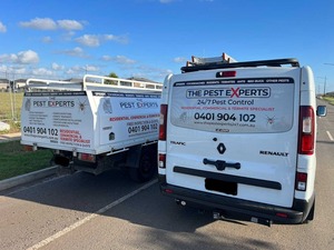 Exterminator Melbourne: Affordable Pest Solutions