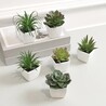 Transform Your Space with Artistic Luxury Vases