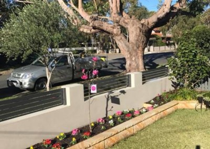 Professional Tree Lopping Mona Vale: Expert Tree Care for Coastal Properties