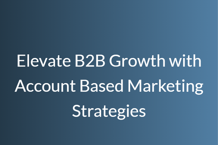 Elevate B2B Growth with Account Based Marketing Strategies