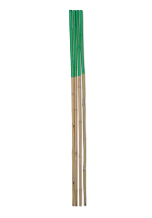 5 Benefits of Using PVC Coated Bamboo Canes in Gardening