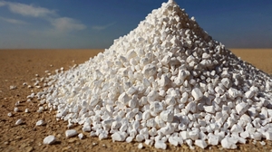 Saudi Arabia Calcium Chloride Market Growth 2025: Trends and Opportunities