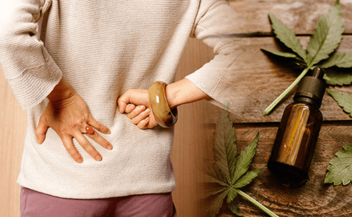 A Beginner's Guide to CBD Oil for Pain Management