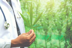 Michigan Medical Marijuana Card Requirements Explained