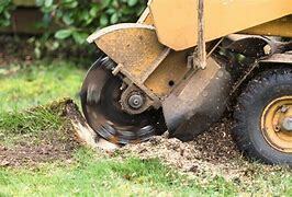 Affordable Tree Removal & Stump Grinding Cost Solutions for Property Managers