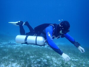 The Function of Wetsuits  \u00a0