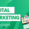 Your Premier Destination for Expert Digital Marketing in Kitchener