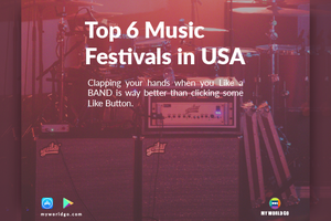  Top 6 Music Festivals in USA You Should Definitely Attend