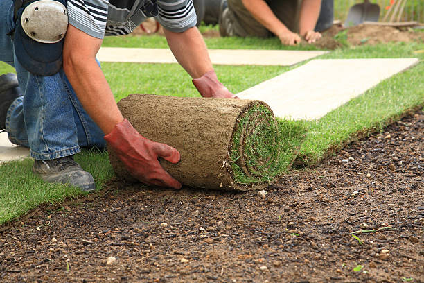 Professional Turf Installation Services in Sydney for Lasting Results