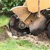Affordable Tree Removal &amp; Stump Grinding Cost Solutions for Property Managers