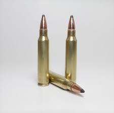 Get Best 223 Ammo