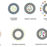 Liposomes for Food Applications