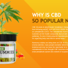 Pure Balance CBD Gummies \u2013Scam Or Alert, Price &amp; Buy?