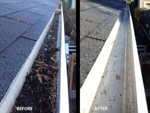 Expert Gutter Installation Sydney: Protecting Your Property
