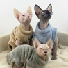 Elevate Your Cat&#039;s Wardrobe with Sphynx Cat Clothes from PIKAPIKA