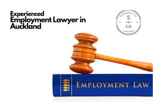 Protecting Your Rights: How an Employment Lawyer Can Help