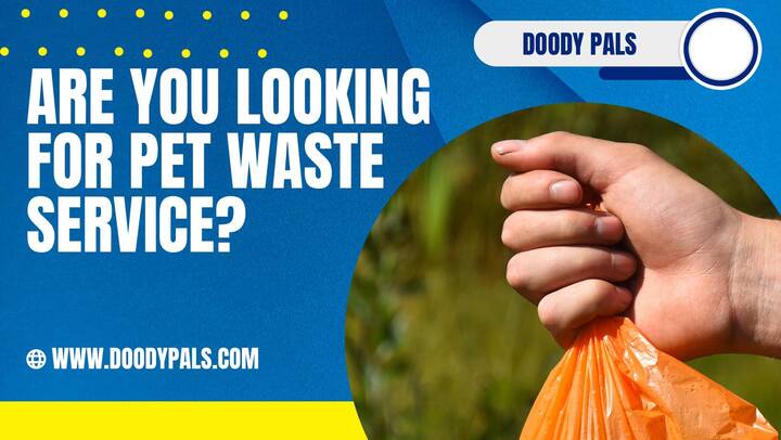 Poop Scooper Service