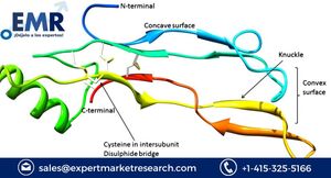 Bone Morphogenetic Proteins Market Key Players, Size, Share, Demands, Trends, Growth Rate and Forecasts 2023-2028