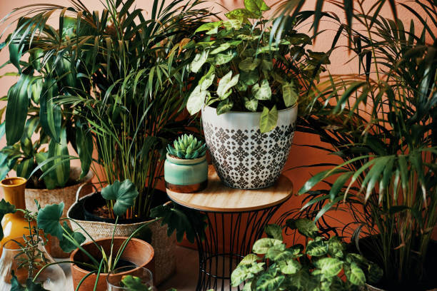 Green Leaf Decor: Bringing Nature and Cannabis Vibes Indoors 