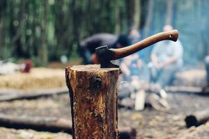 Professional Tree Felling Services Ensuring Safety on North Shore