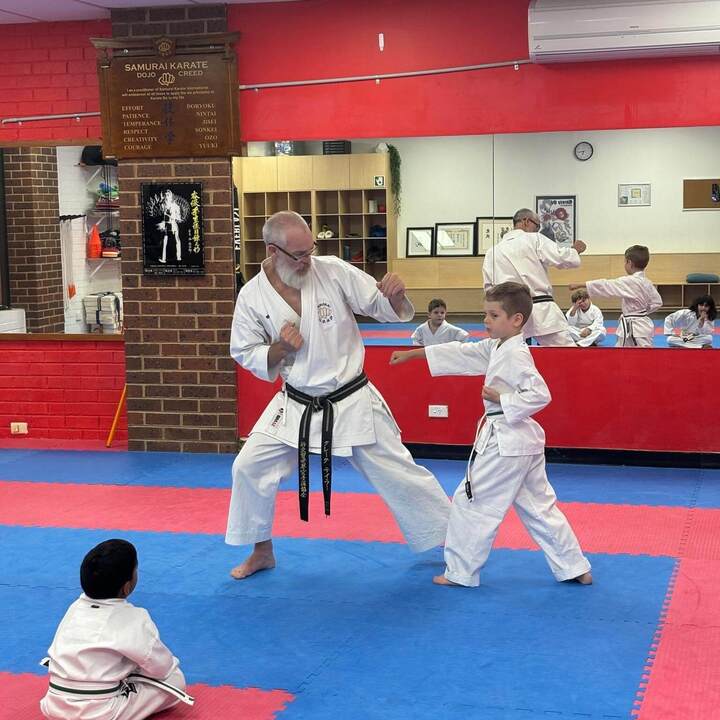 Discover the Power of Karate Classes for Adults