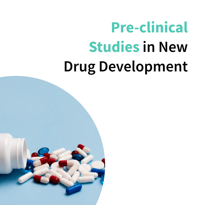 Preclinical Research in Drug Development