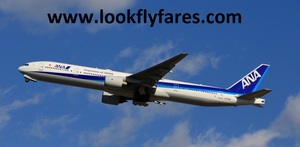 \u00bfC\u00f3mo llamar a ANA Airlines en espa\u00f1ol?