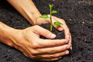 Best Vermicompost in Madurai