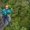  Eco-Conservation Through Rotorua Ziplines: Adventure Meets Sustainability