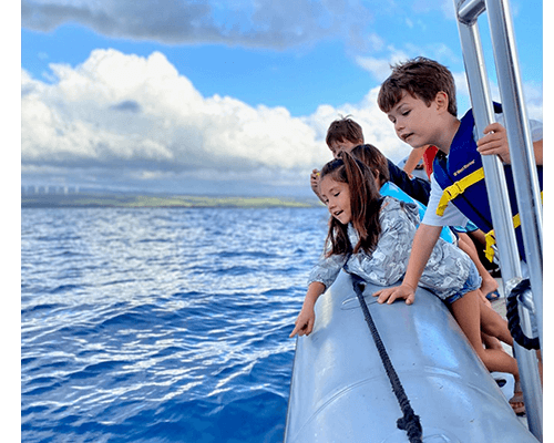 North Shore's Whale Spectacle Awaits You