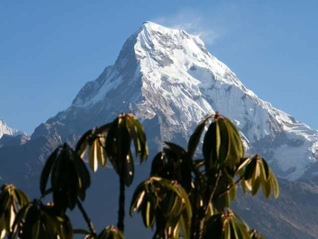 Ghorepani Poon Hill Trek