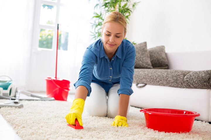 How to Maintain Clean Carpets in Yr NYC Home