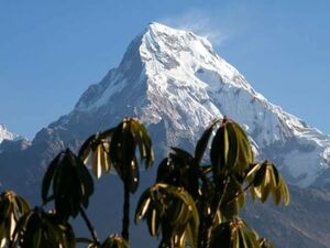 Ghorepani Poon Hill Trek