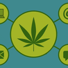 Getting the Most Out of Your Business by Adopting Wise Cannabis Dispensary Marketing Streams