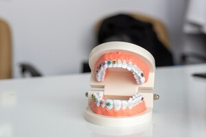 How Often Should You Visit Your Surrey Hills Dentist?