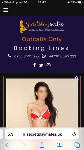 Gatwick Escorts: The Affordable Luxury You Didn\u2019t Know You Needed