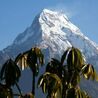 Ghorepani Poon Hill Trek