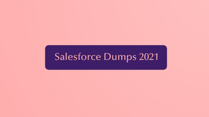 Salesforce Dumps 2021 Developer 2 certification