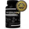 Magnum XT Reviews