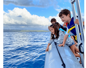 A Journey to See Hawaii&#039;s Humpback Haven